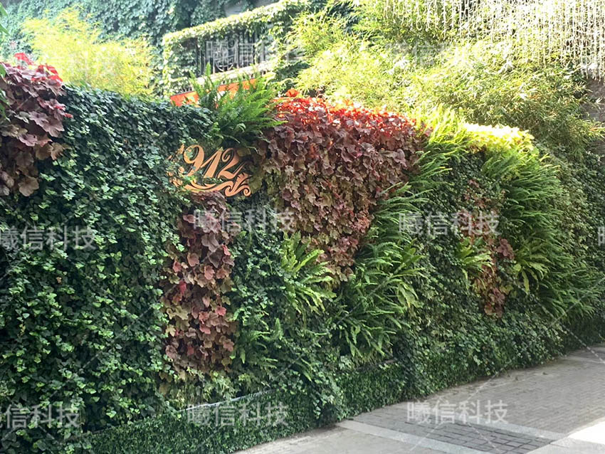 綠化墻植物墻廠家定制